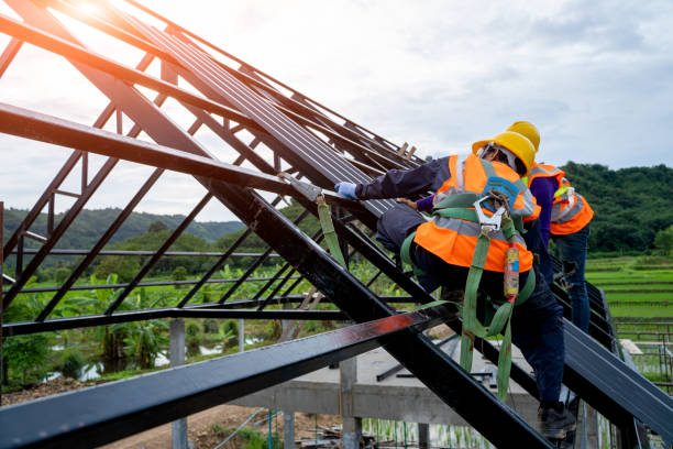 Best Roofing Contractor Near Me  in Roundup, MT