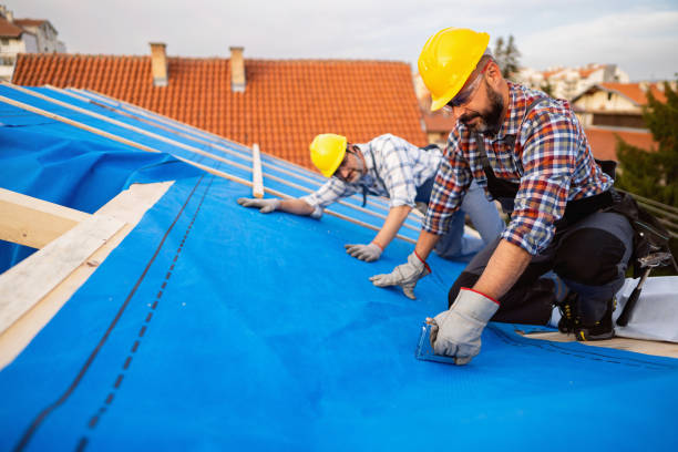 Best Roofing Contractors for Homes  in Roundup, MT