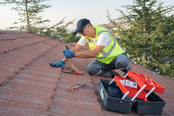 Best Residential Roofing Contractor  in Roundup, MT