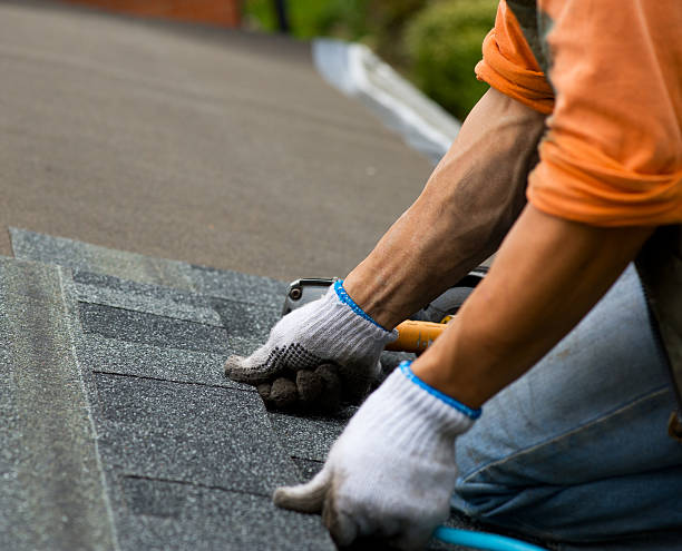 Best Roof Gutter Cleaning  in Roundup, MT